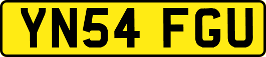 YN54FGU