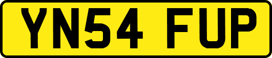 YN54FUP