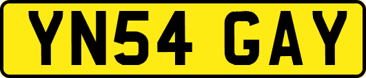 YN54GAY