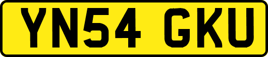 YN54GKU