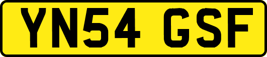 YN54GSF