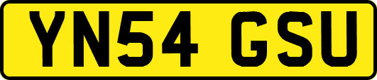 YN54GSU