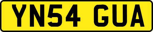 YN54GUA