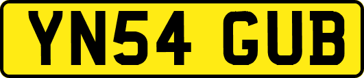 YN54GUB