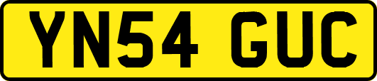 YN54GUC
