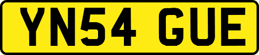 YN54GUE