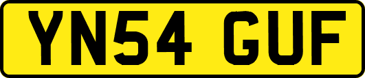 YN54GUF