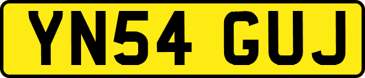 YN54GUJ