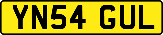 YN54GUL