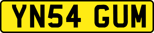 YN54GUM