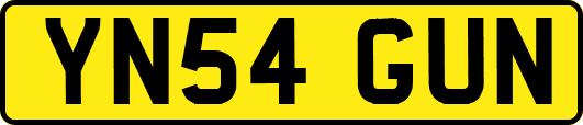 YN54GUN