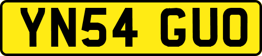 YN54GUO