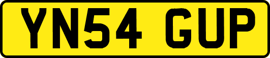 YN54GUP