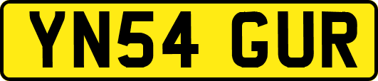 YN54GUR