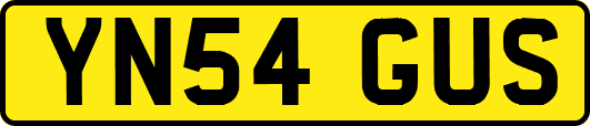 YN54GUS
