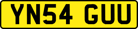 YN54GUU