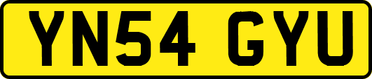 YN54GYU