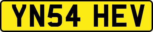 YN54HEV