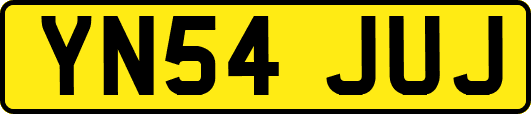 YN54JUJ