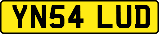 YN54LUD