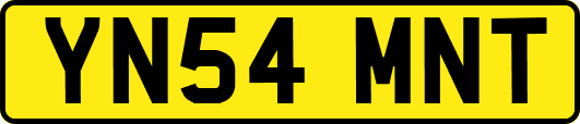 YN54MNT