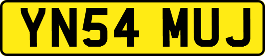 YN54MUJ