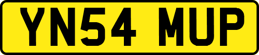 YN54MUP