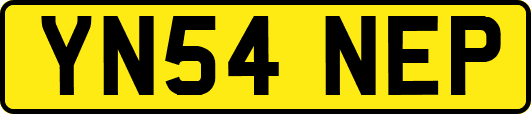 YN54NEP