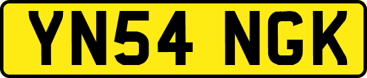 YN54NGK