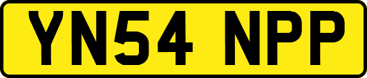 YN54NPP