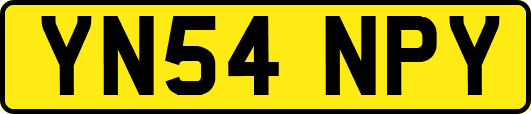 YN54NPY