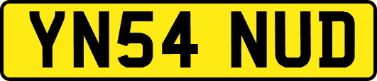 YN54NUD