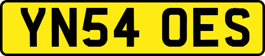 YN54OES