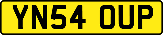 YN54OUP