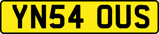 YN54OUS