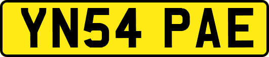 YN54PAE