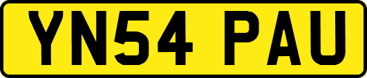 YN54PAU