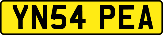 YN54PEA