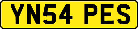 YN54PES