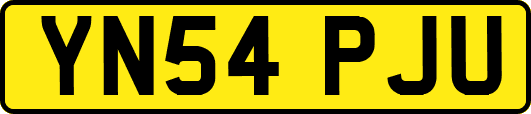 YN54PJU
