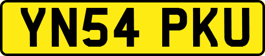 YN54PKU