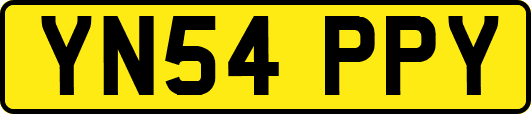 YN54PPY