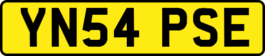 YN54PSE