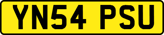 YN54PSU