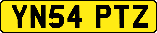 YN54PTZ
