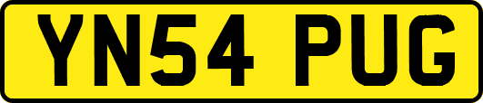 YN54PUG