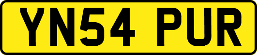 YN54PUR