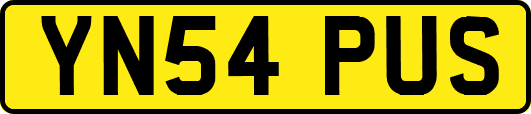 YN54PUS