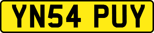 YN54PUY