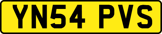 YN54PVS